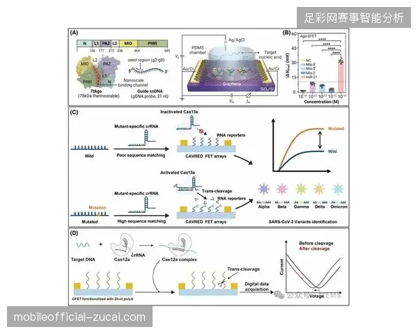 2027年赛事医疗保障核心竞争点将集中于基于生物监测数据的赛时风险预警能力